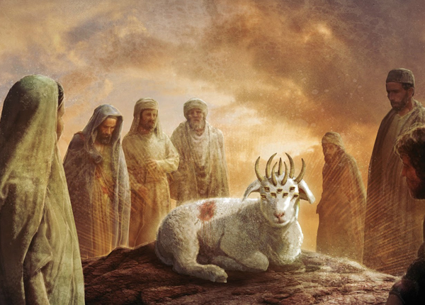 week5_slain_lambB_w600